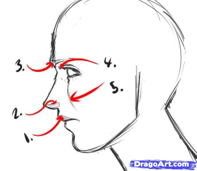 human face drawing tutorial