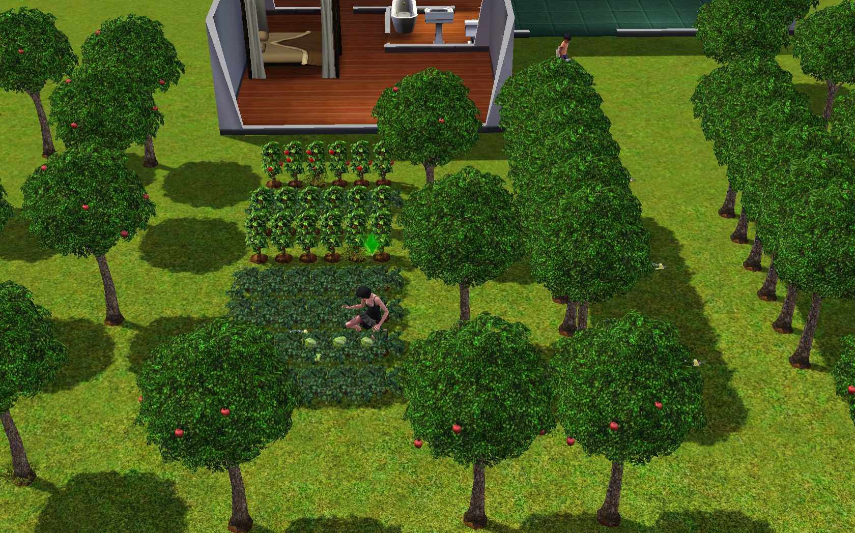 sims 3 gardening tutorial