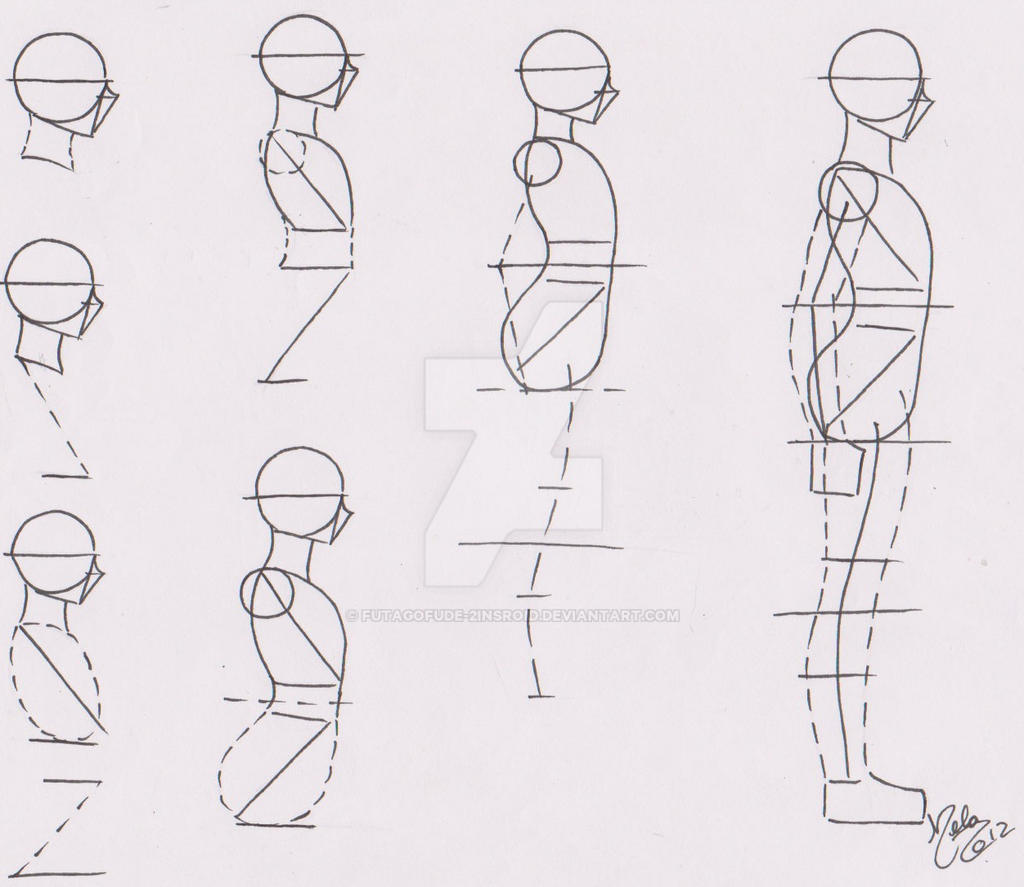 human anatomy drawing tutorial pdf