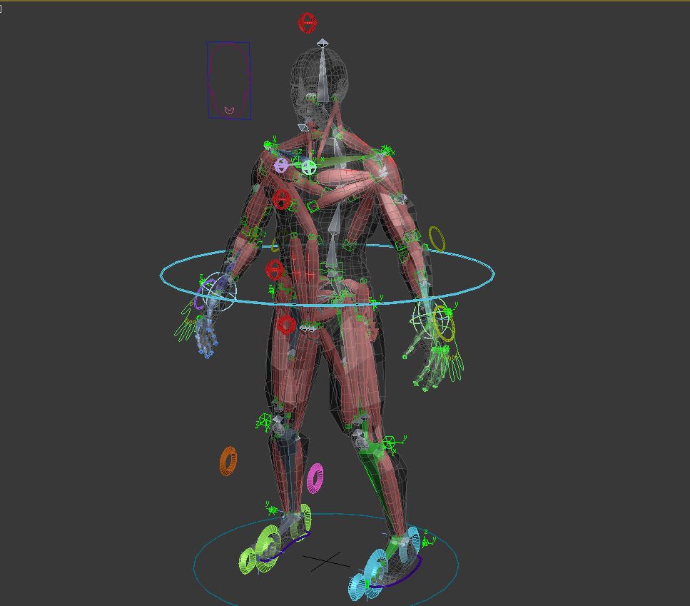 3ds max character rigging tutorial