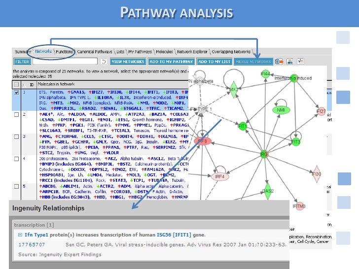 ipa pathway analysis tutorial