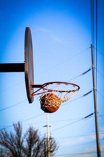 lifetime basketball hoop assembly pdf