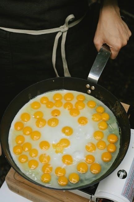 elite gourmet egg cooker manual